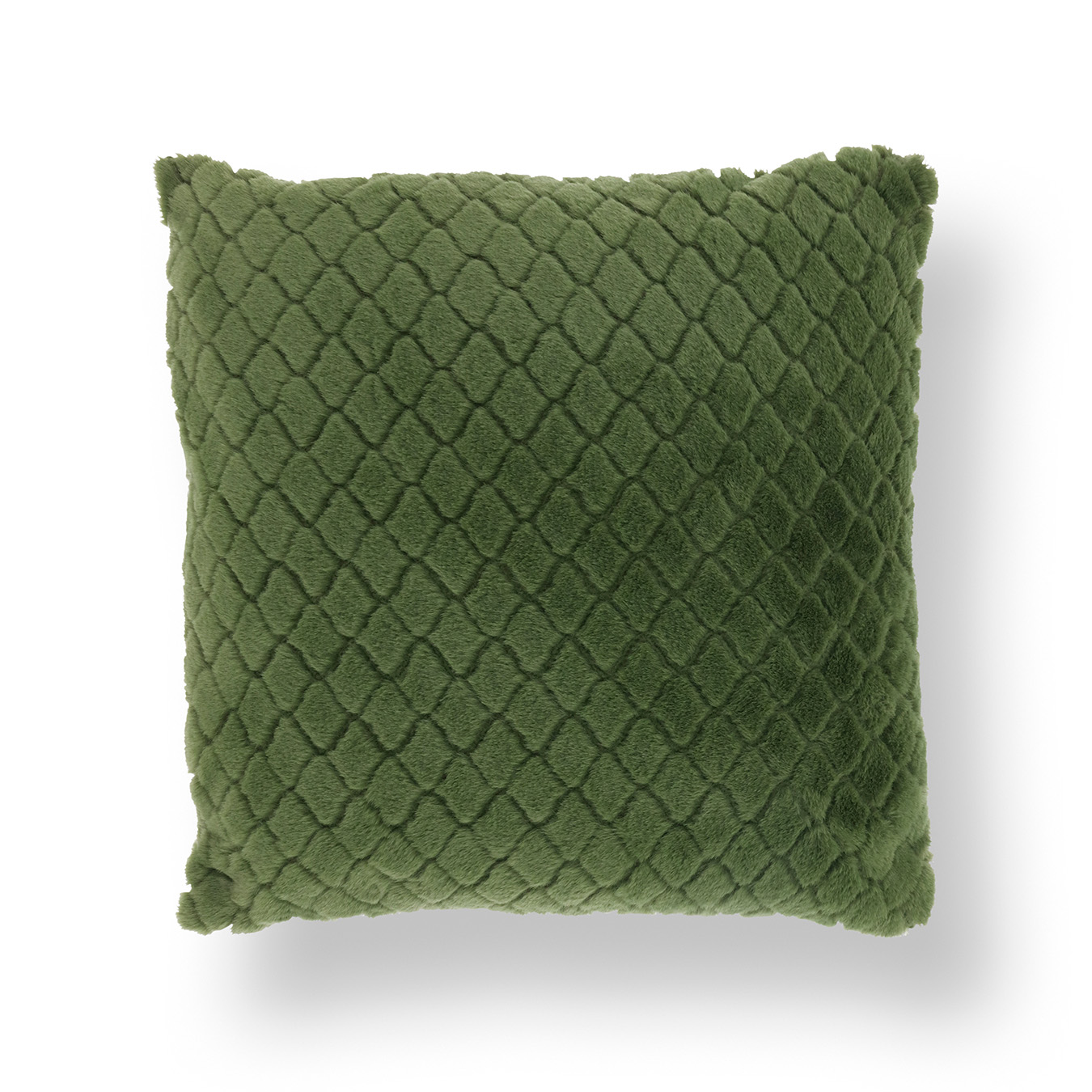 /images/content/artikelen/novita-gennep-accessoires-feelings-sierkussens-en-textiel-ayla-sierkussen-winter-green-45x45-1-8717510106141.jpg