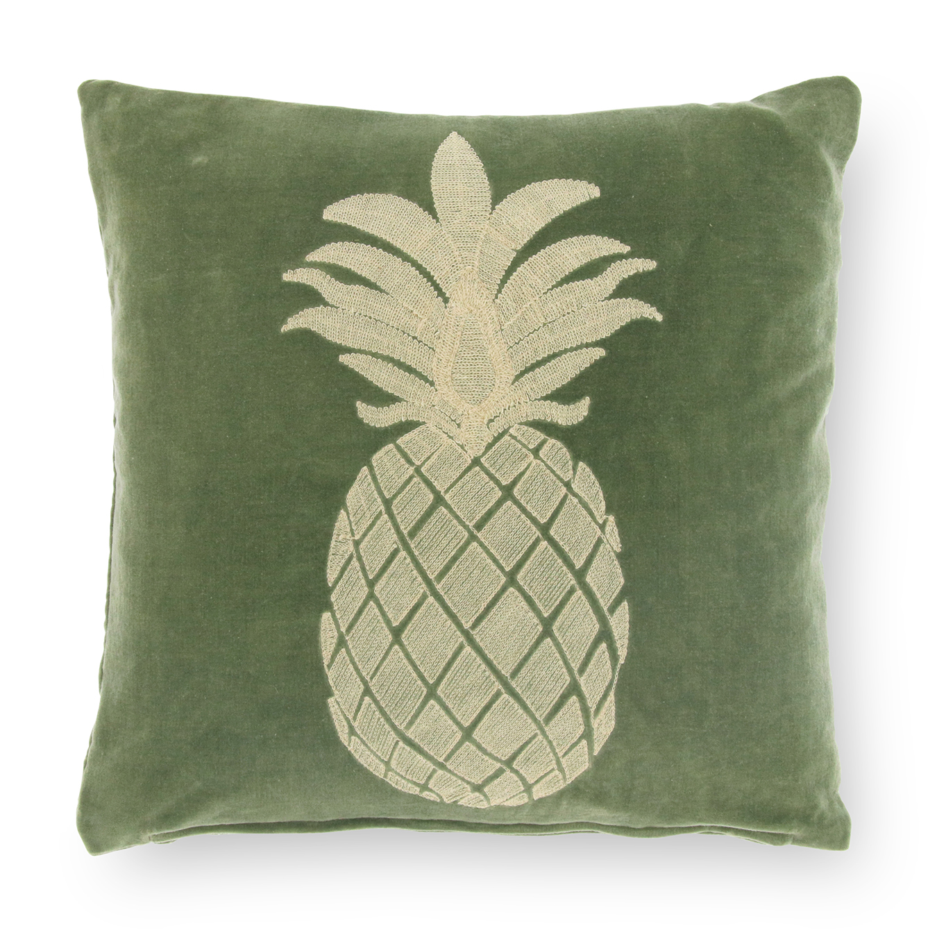 /images/content/artikelen/novita-gennep-accessoires-feelings-sierkussens-en-textiel-bicas-sierkussen-tea-green-1-8717510107788.jpg