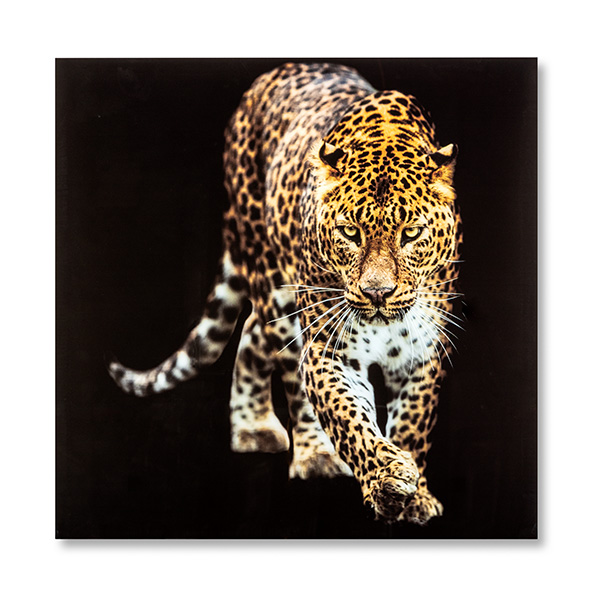 /images/content/artikelen/novita-gennep-accessoires-feelings-wanddecoraties-en-spiegels-leopard-wanddecoratie-1-8717510105920.jpg