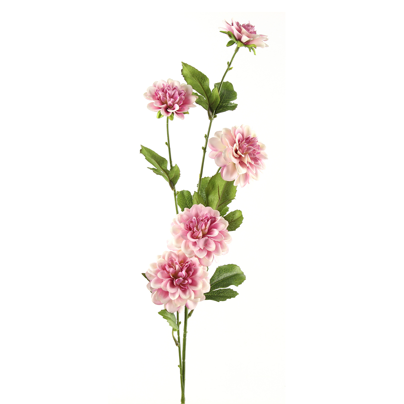 /images/content/artikelen/novita-gennep-accessoires-feelings-woonaccessoires-asteraceae-l-kunstbloem-paars-1-8717510107670.jpg