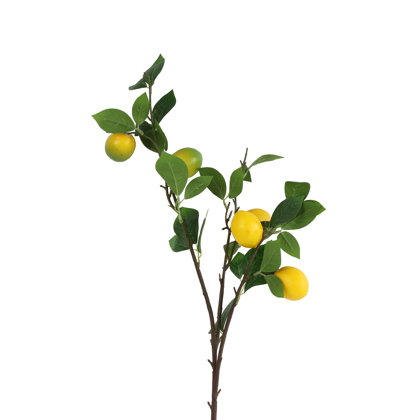 /images/content/artikelen/novita-gennep-accessoires-feelings-woonaccessoires-citrus-limon-kunsttak-1-8717510107722.jpg