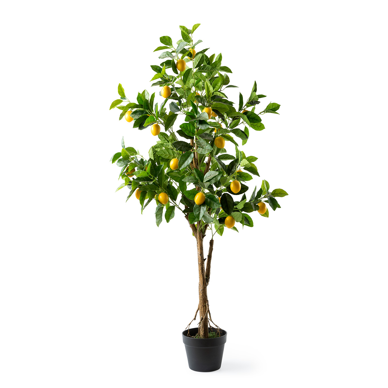 /images/content/artikelen/novita-gennep-accessoires-feelings-woonaccessoires-citrus-limon-l-sierplant-1-8717510107672.jpg