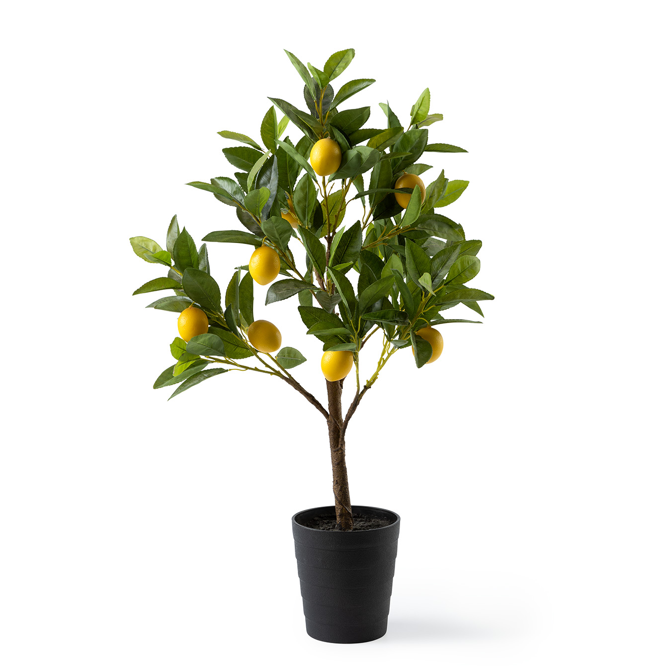 /images/content/artikelen/novita-gennep-accessoires-feelings-woonaccessoires-citrus-limon-s-sierplant-1-8717510107671.jpg