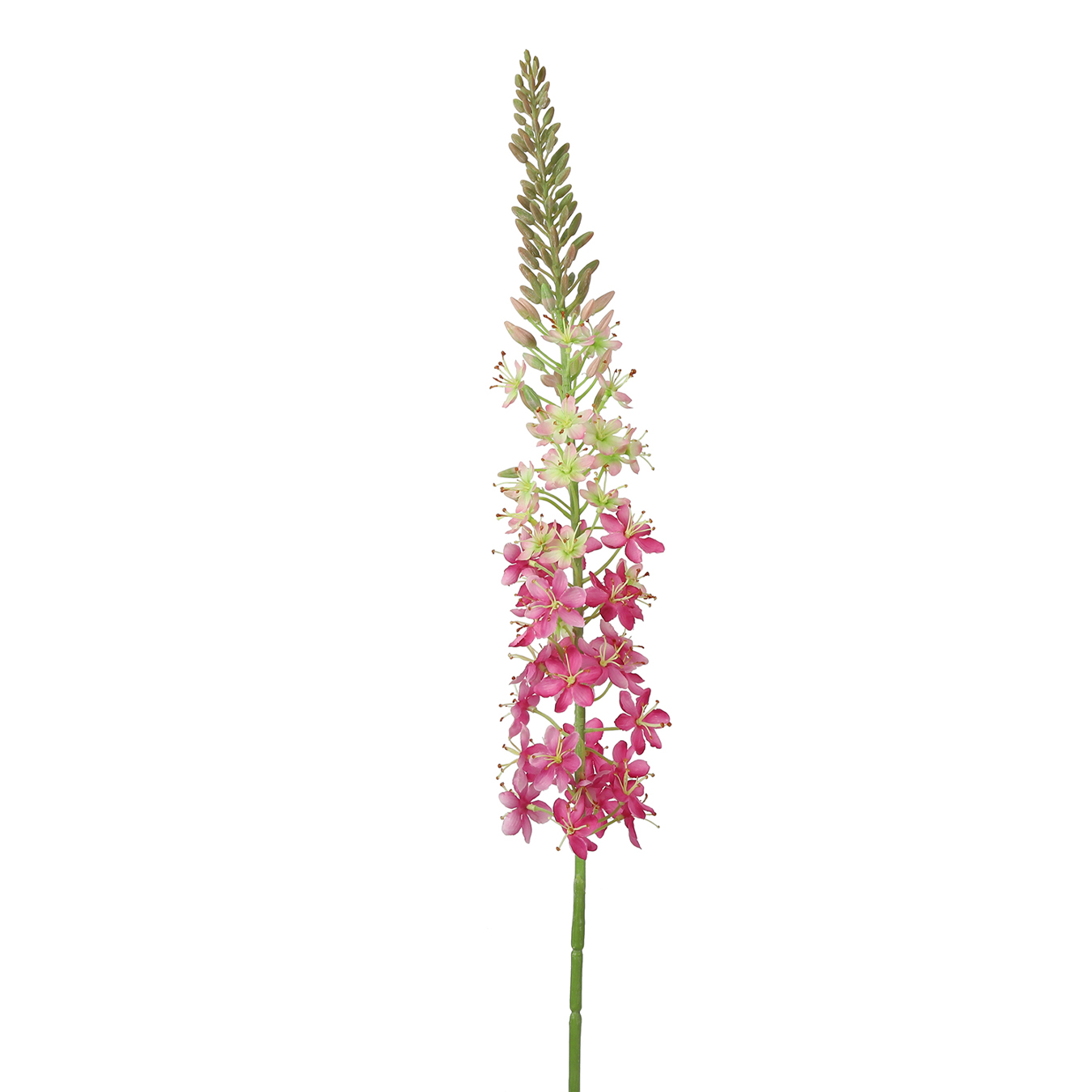 /images/content/artikelen/novita-gennep-accessoires-feelings-woonaccessoires-eremurus-kunstbloem-1-8717510107693.jpg