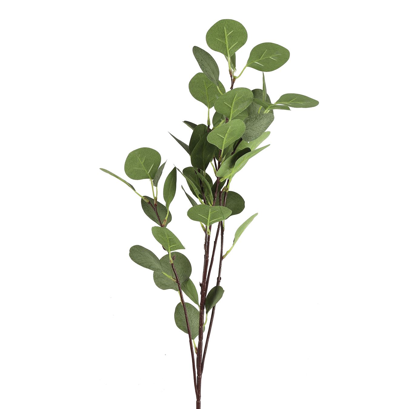 /images/content/artikelen/novita-gennep-accessoires-feelings-woonaccessoires-eucalyptus-kunsttak-1-8717510107678.jpg