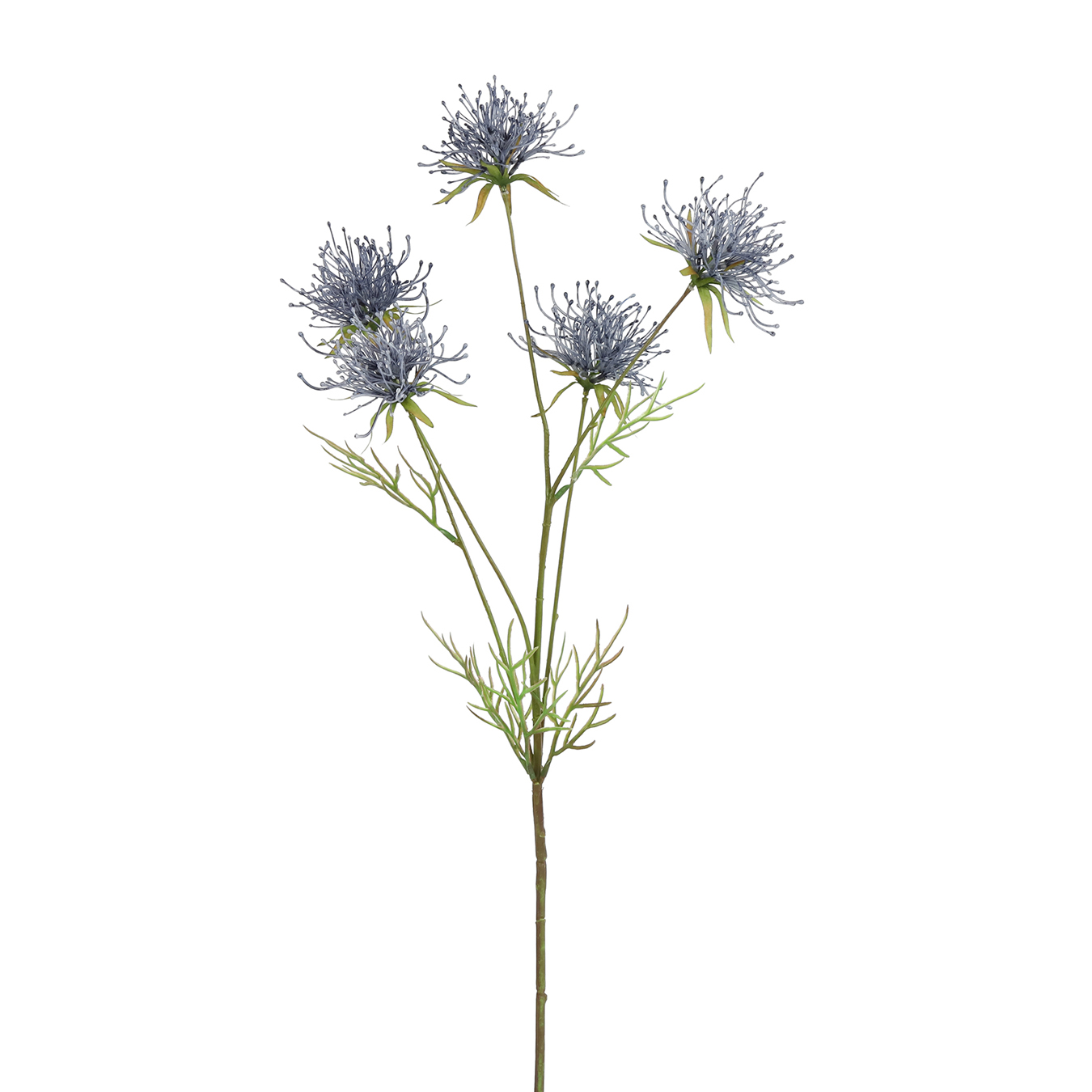 /images/content/artikelen/novita-gennep-accessoires-feelings-woonaccessoires-hakea-kunsttak-blauw-1-8717510107717.jpg