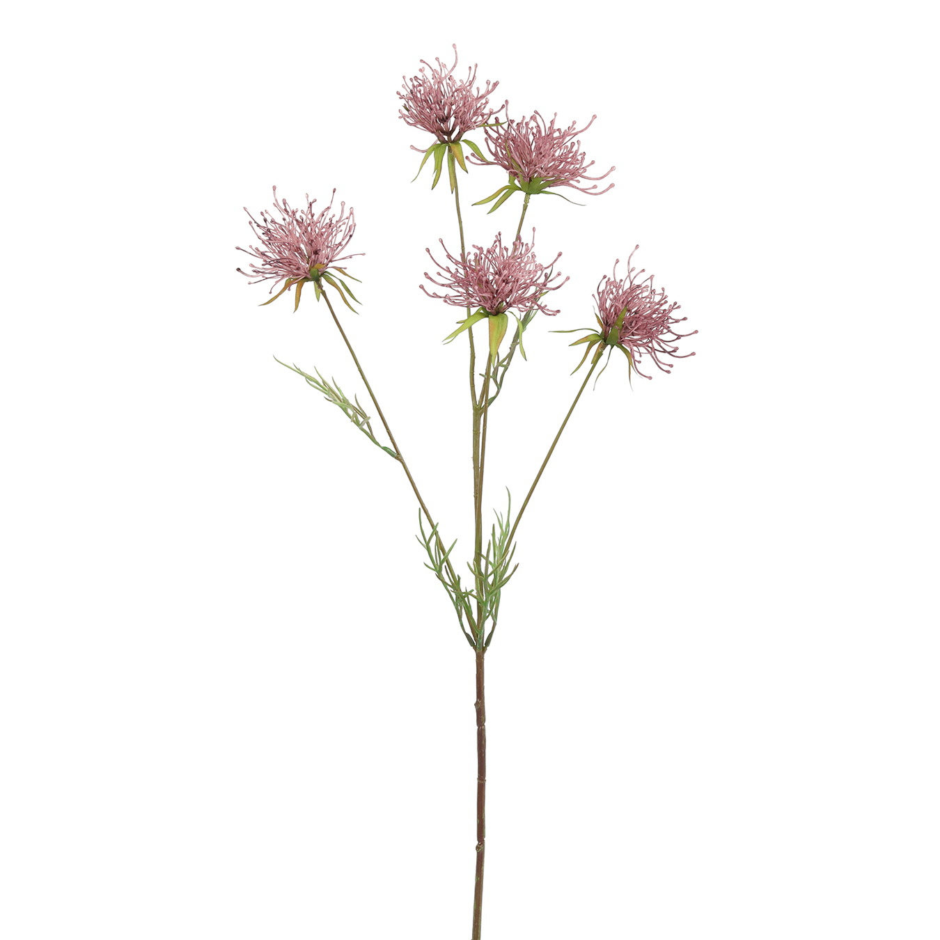 /images/content/artikelen/novita-gennep-accessoires-feelings-woonaccessoires-hakea-kunsttak-lila-1-8717510107719.jpg