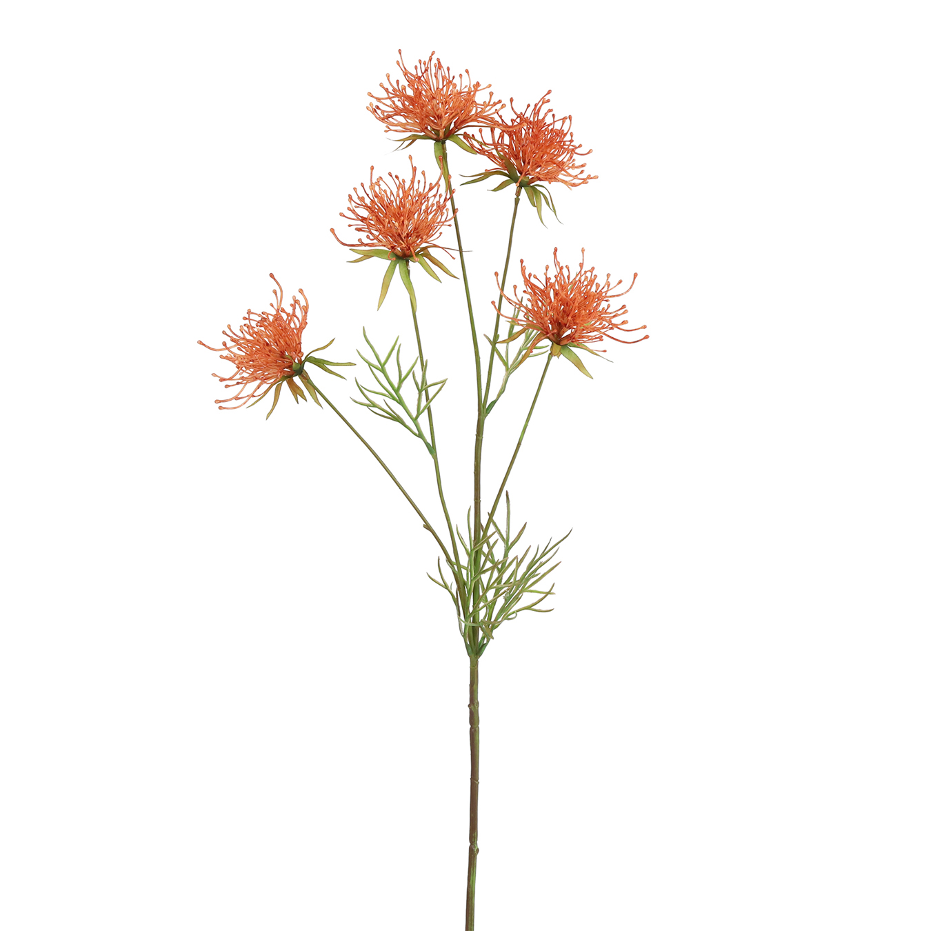 /images/content/artikelen/novita-gennep-accessoires-feelings-woonaccessoires-hakea-kunsttak-oranje-1-8717510107718.jpg