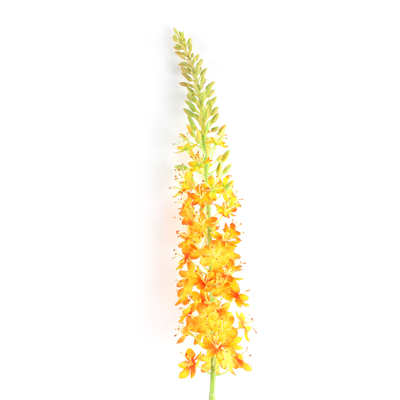 /images/content/artikelen/novita-gennep-accessoires-feelings-woonaccessoires-lythrum-kunstbloem-oranje-1-8717510107675.jpg
