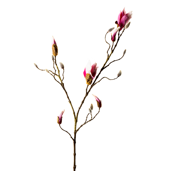 /images/content/artikelen/novita-gennep-accessoires-feelings-woonaccessoires-magnolia-knop-tak-roze-1-8717510101294.jpg