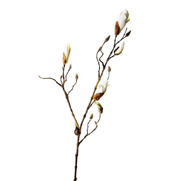 /images/content/artikelen/novita-gennep-accessoires-feelings-woonaccessoires-magnolia-knop-tak-wit-1-8717510101293.jpg