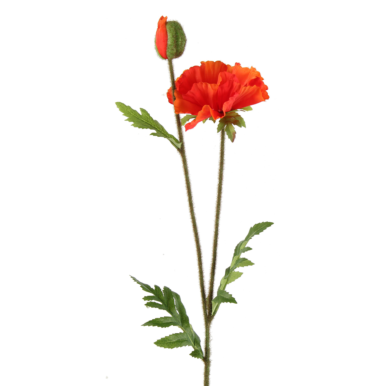 /images/content/artikelen/novita-gennep-accessoires-feelings-woonaccessoires-papaver-vere-kunstbloem-oranje-1-8717510107667.jpg