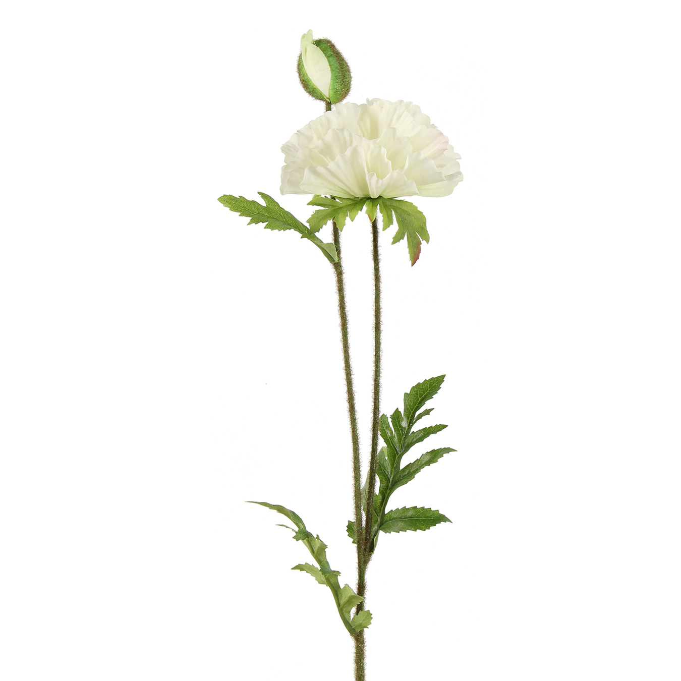 /images/content/artikelen/novita-gennep-accessoires-feelings-woonaccessoires-papaver-vere-kunstbloem-wit-1-8717510107666.jpg