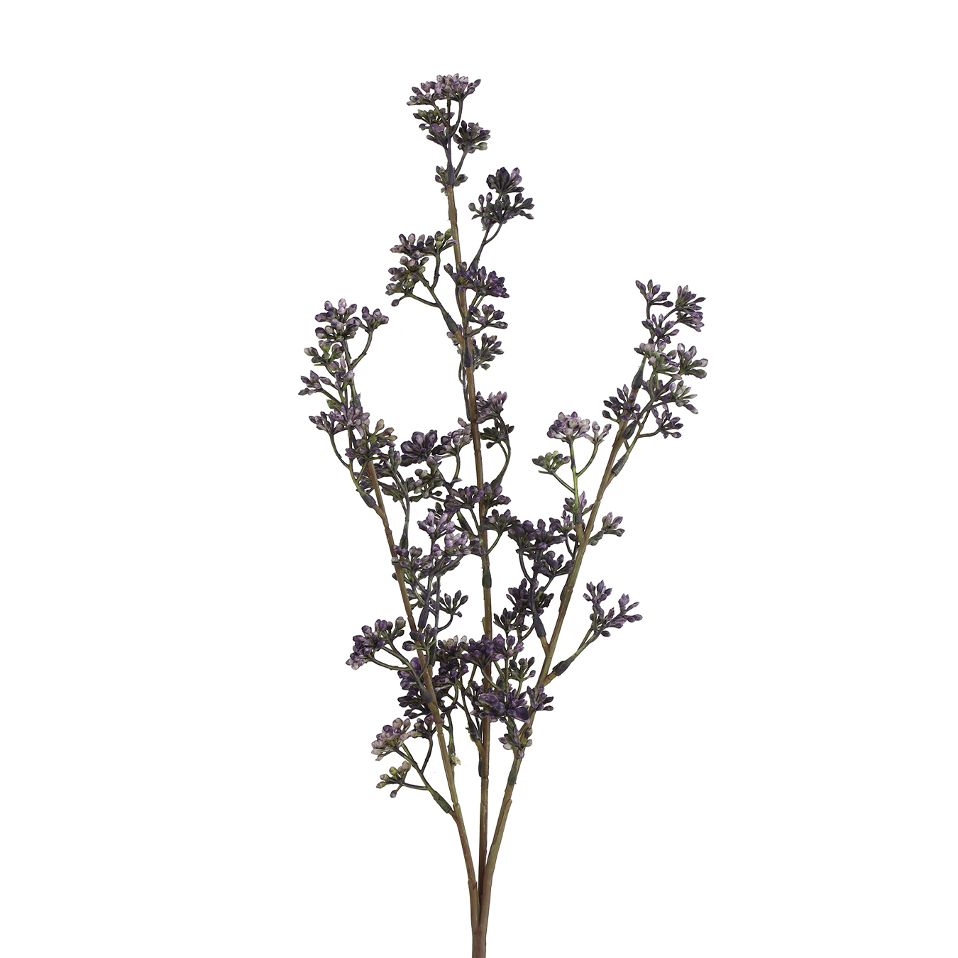 /images/content/artikelen/novita-gennep-accessoires-feelings-woonaccessoires-prunus-kunsttak-paars-1-8717510107682.jpg