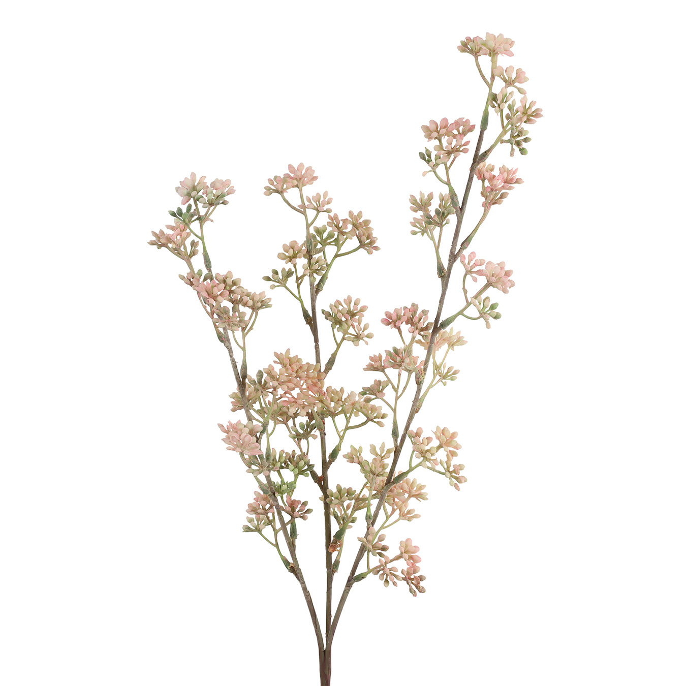 /images/content/artikelen/novita-gennep-accessoires-feelings-woonaccessoires-prunus-kunsttak-roze-1-8717510107681.jpg