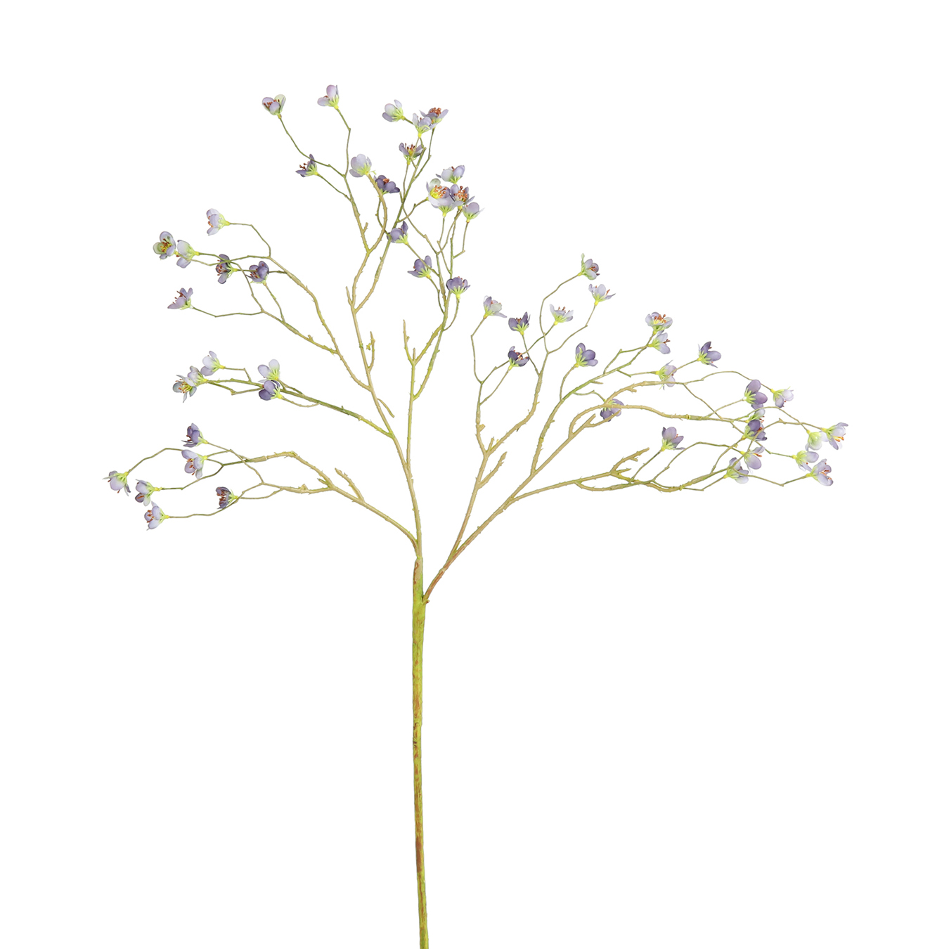 /images/content/artikelen/novita-gennep-accessoires-feelings-woonaccessoires-prunus-mume-kunsttak-blauw-1-8717510107715.jpg