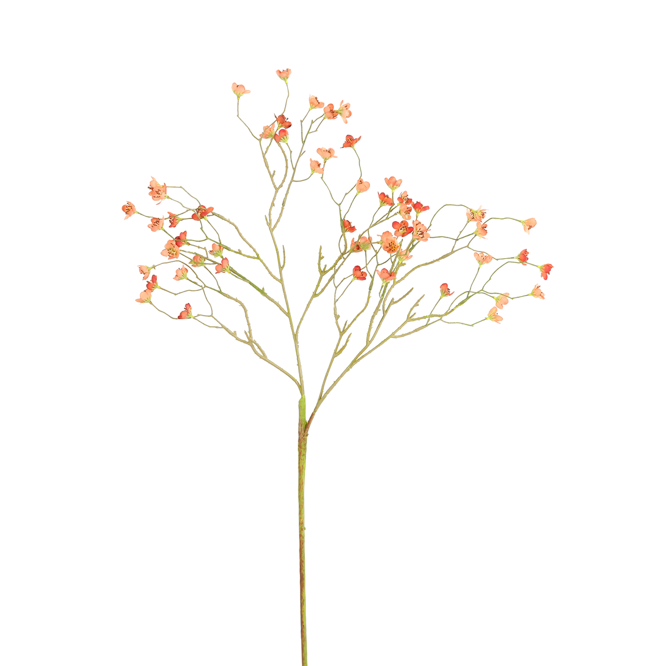 /images/content/artikelen/novita-gennep-accessoires-feelings-woonaccessoires-prunus-mume-kunsttak-rood-1-8717510107716.jpg