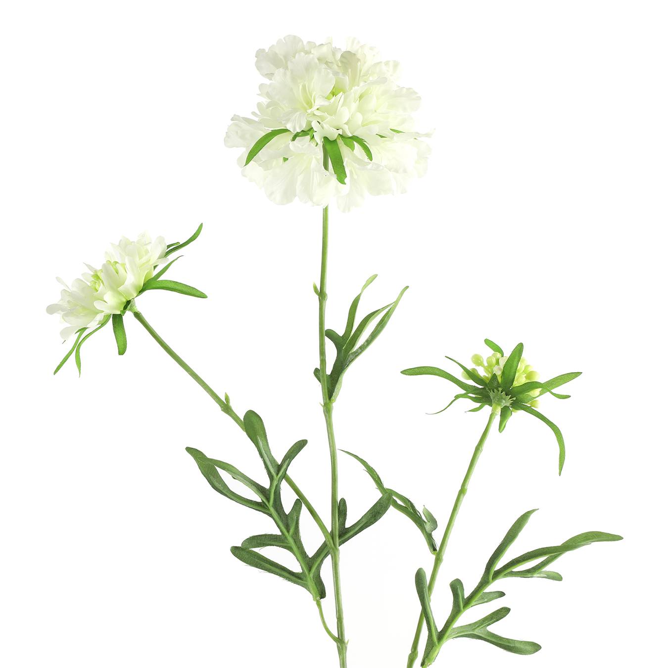 /images/content/artikelen/novita-gennep-accessoires-feelings-woonaccessoires-scabiosa-kunstbloem-wit-1-8717510107673.jpg