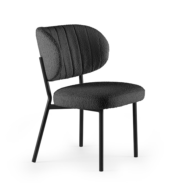 /images/content/artikelen/novita-gennep-stoelen-feelings-eetkamerstoelen-sofia-eetkamerstoel-zwart-glad-poedercoat-1-8717610105256.jpg